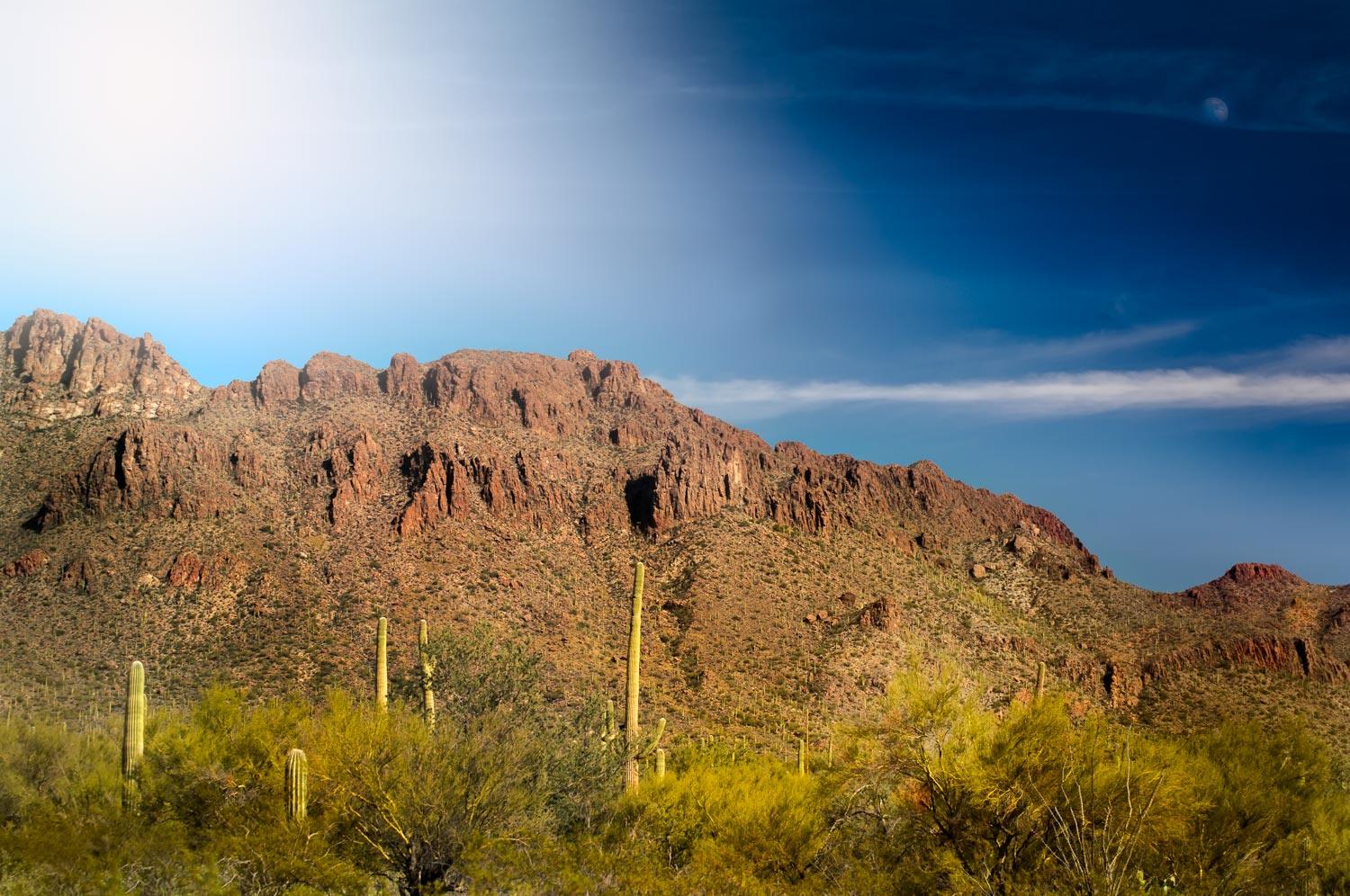 Saguaro National Park and I was hungry T. Glow